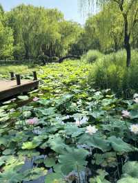 濟南森林公園