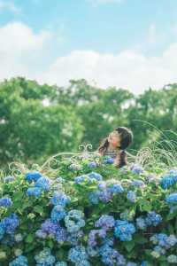 長沙夏天也能賞花這3個地方能遛娃還出片