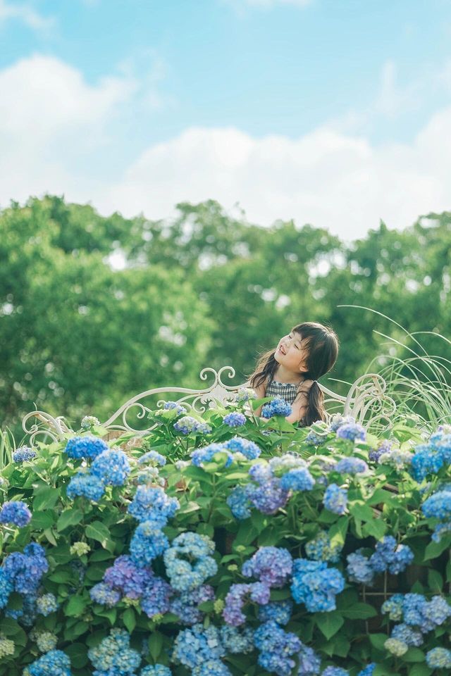 長沙夏天也能賞花這3個地方能遛娃還出片