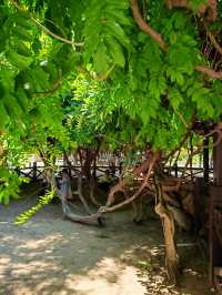 自駕魯中川藏線，去青州范公亭公園
