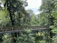 龍苍溝國家級森林公園