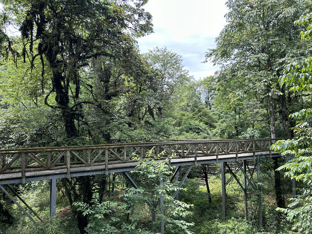 龍苍溝國家級森林公園