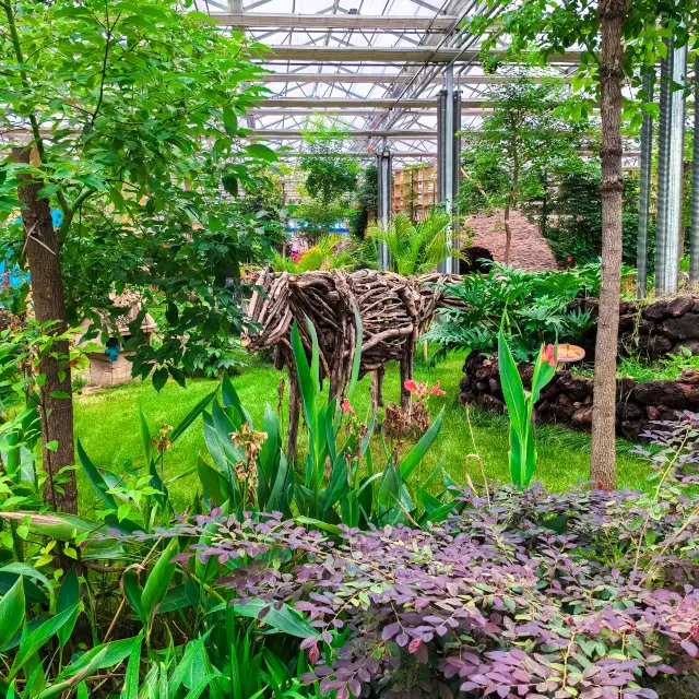 Ulanqab Off-the-Beaten-Path Spot for Kids | Chayouqianqi Modern Agriculture Industrial Park