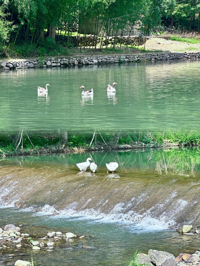探秘鹽幫古道，暢遊十八渡：一天玩不夠的親水徒步盛宴