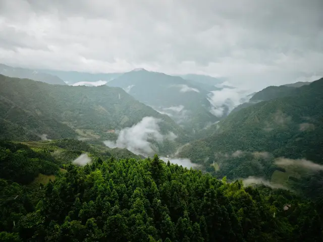 Ruộng bậc thang Longsheng tháng 6 năm 2024: Yên tĩnh và mưa, với những cánh đồng lúa lấp lánh giữa biển mây