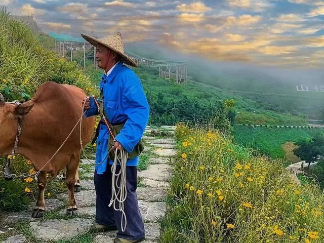 宜昌夏季均溫21℃的地方，你還不來