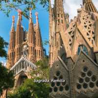 Barcelona: Solo Trip Guide & Tips! 🇪🇸