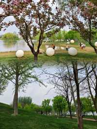 大湖公園值得大家去打卡………