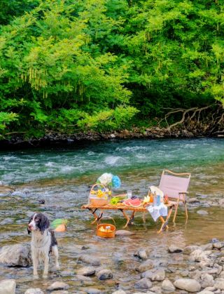 美到失語…一整個就是住進了莫奈花園