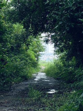 Chongqing | Duijin Village