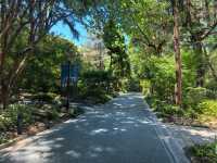 城市公園圖鑑：上海人民公園