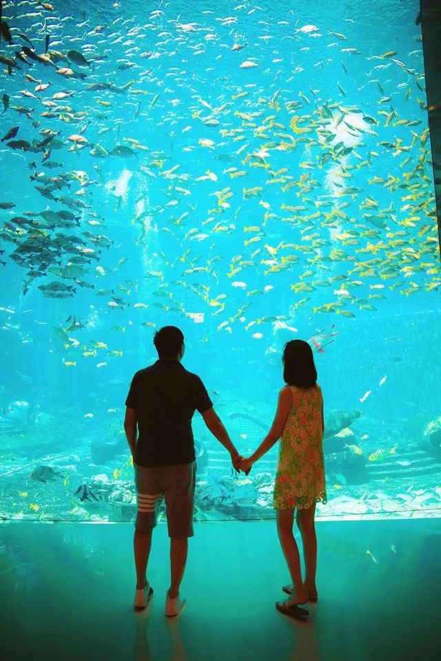 來施特拉爾松德水族館遊玩