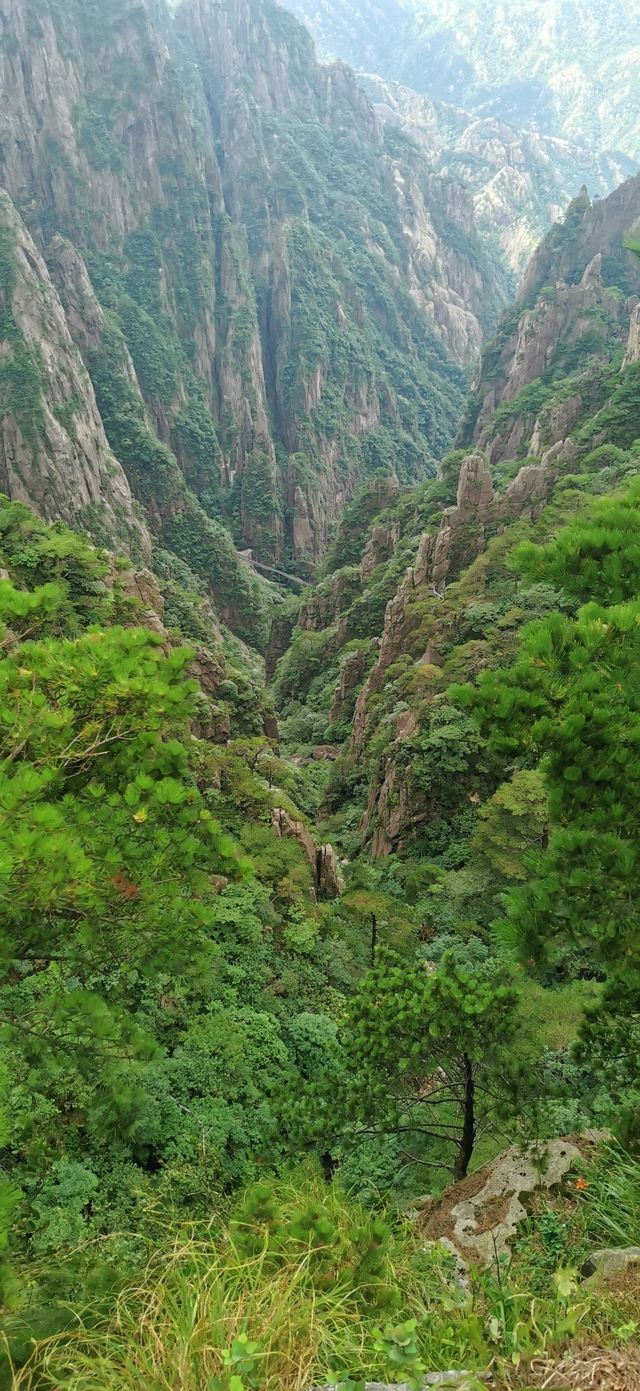 黃山