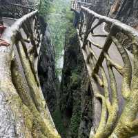 Nature never goes out of style 