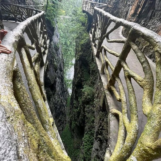 Nature never goes out of style 