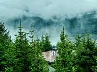在川西找到了絕美的觀景木屋