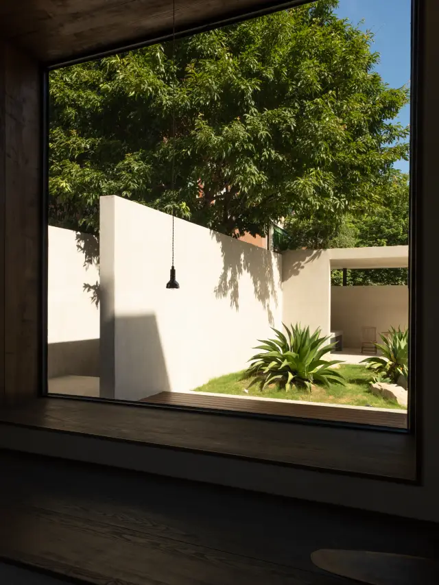 In Quanzhou｜Accidentally Entering a Peach Blossom Land