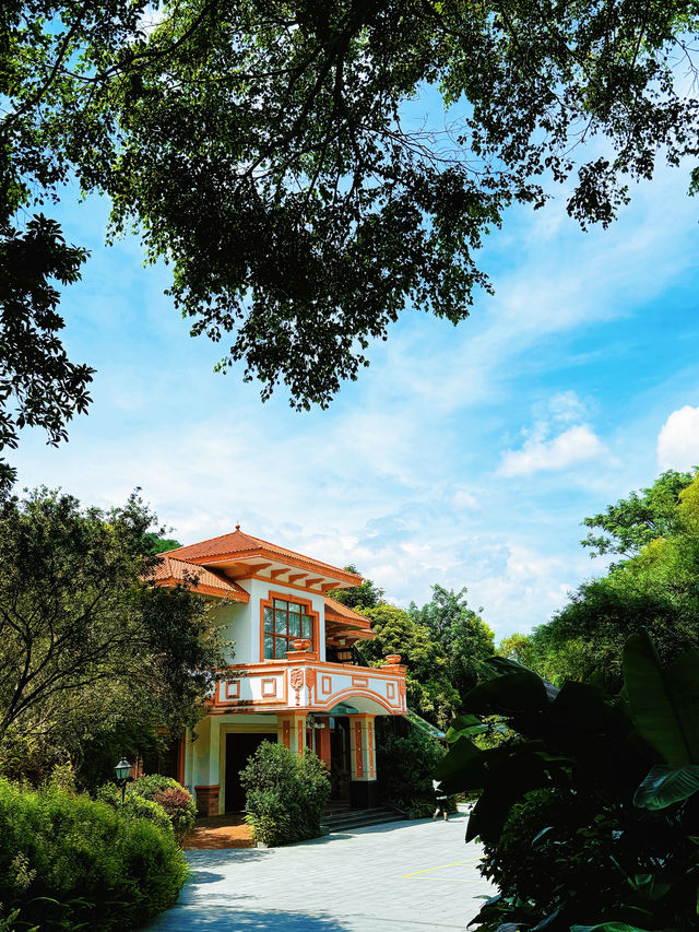 Seek tranquility and escape the summer heat in midsummer, come to Yunfu Xinxing Longshan Hot Spring Hotel!