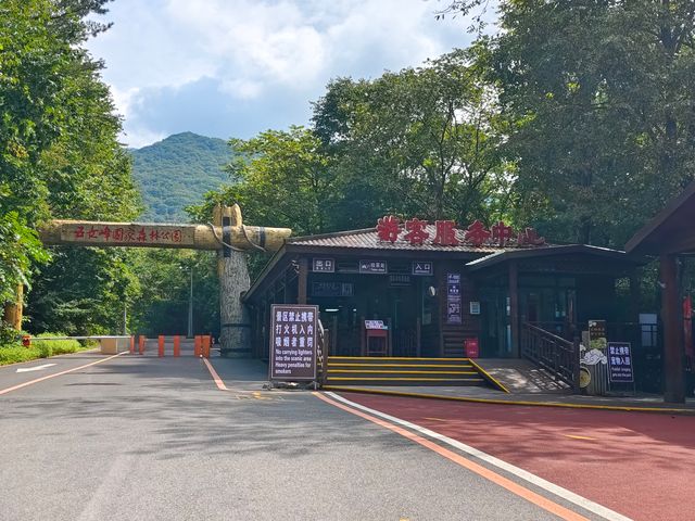 沙田——集安。