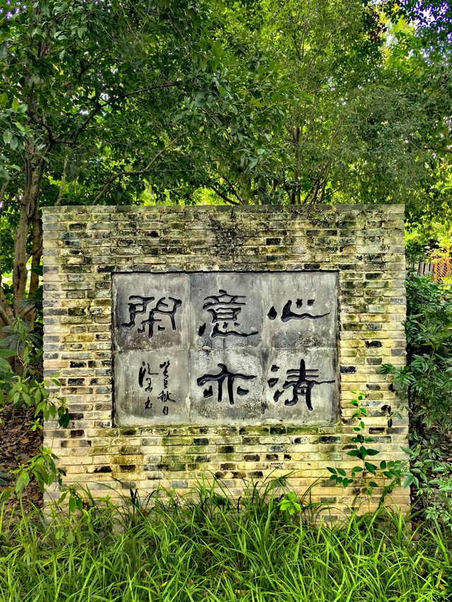 醉白池，上海人都不太熟悉的後花園。