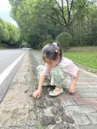 南京這個免費景區竟然藏著世界第一斜塔