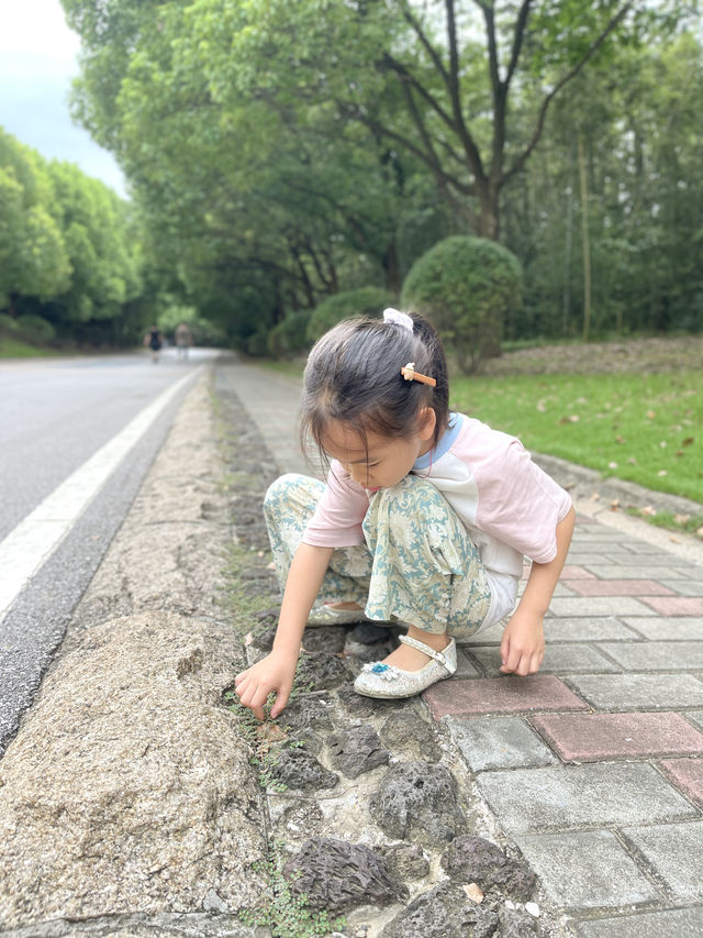 南京這個免費景區竟然藏著世界第一斜塔