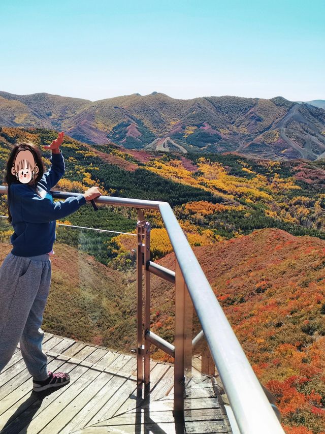 翠雲山森林公園嘅秋天，真係太靚啦！