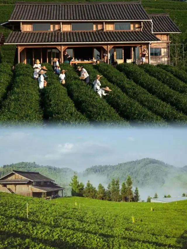 Liping Longxingchong TEATEL Tea-themed B&B.