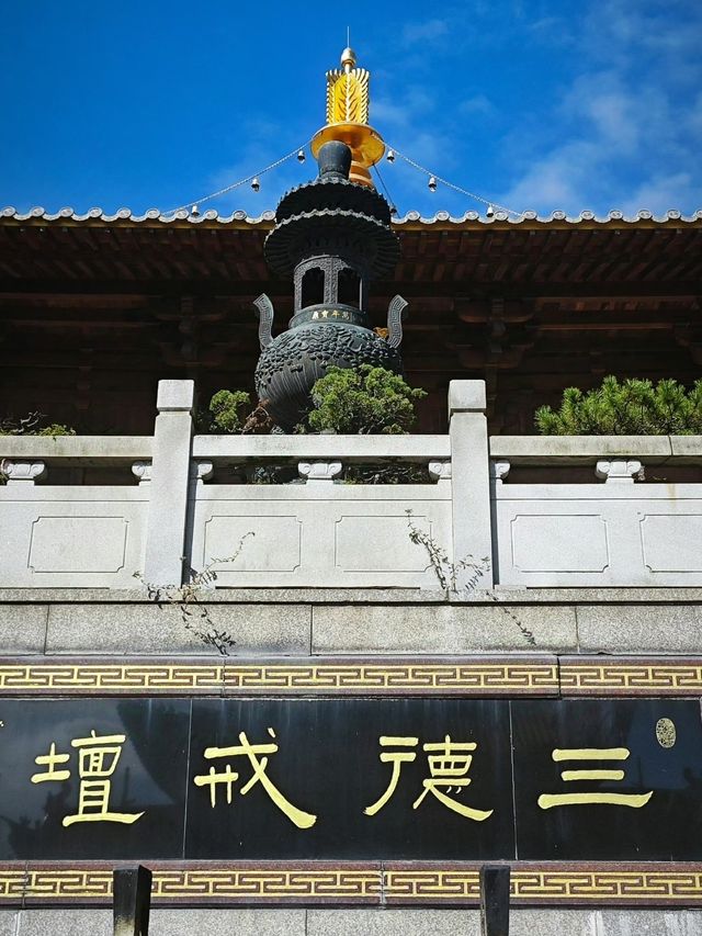 溫州洞頭 | 奔赴一場海邊的浪漫之旅。