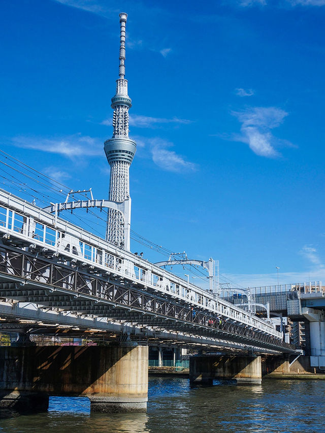 東京景點｜隅田公園：賞櫻與花火大會的勝地