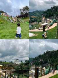 樂清新晉主題樂園｜下一個遛娃天花板。