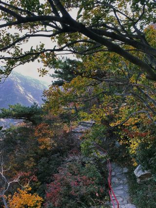 가을의 오색찬란한 모습을 보러 이곳에 오세요.