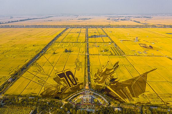 鶴崗觀光大賞：解鎖秋日的魅力。
