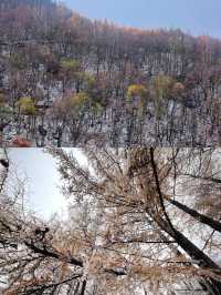 10月20日中台山雪景實拍。