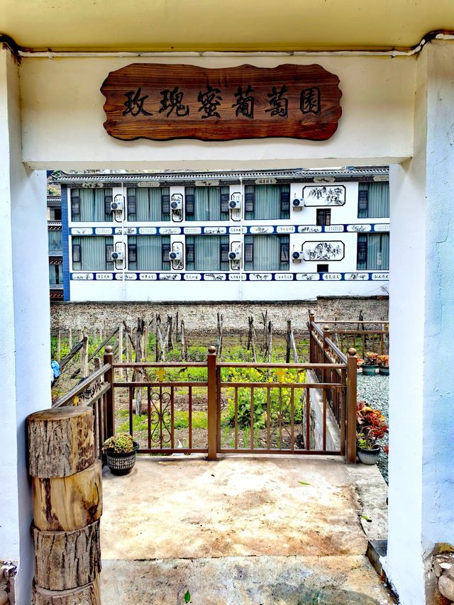 百年歲月重點文物，茨中天主教堂。
