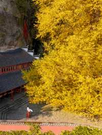 江南懸空寺打卡慶餘年同款。