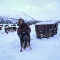 在冬日終極目的地🇳🇴特羅姆瑟過聖誕❄️