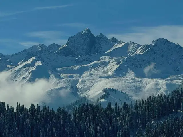 Yili Kurdening | Winter Wonderland