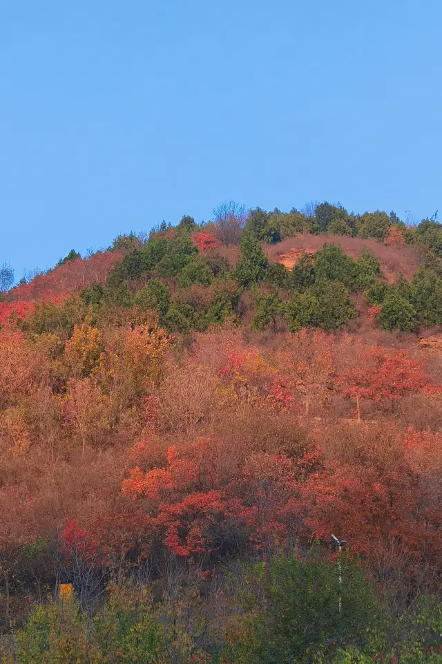 Beijing's Best Fall Destinations: Free Parks