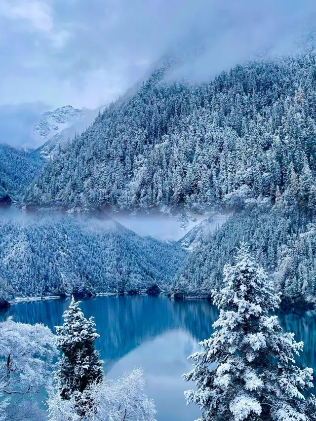 11월 16일 이후 구채구로 서둘러 가세요. 사람도 적고 반값이에요!!