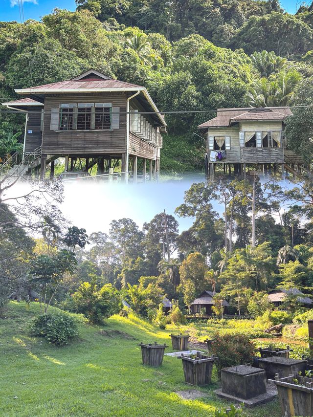 山打根，如夢幻之境，碧海藍天與蔥鬱山林交織。