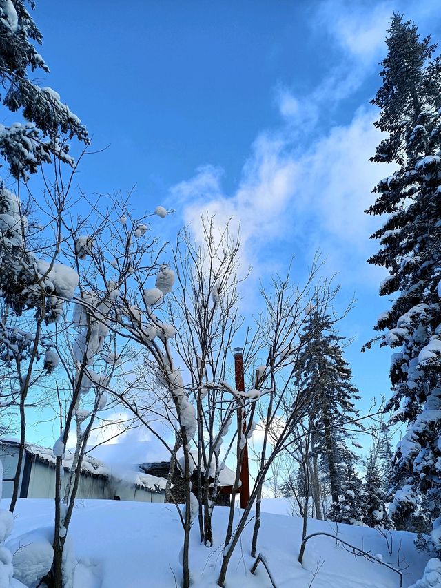 真不是北海道！在雪谷連住3天不想走。