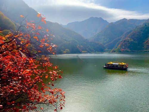 翠華山徒步探險指南：獨享自由之旅