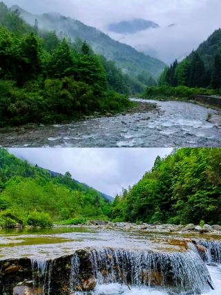 A scenic spot at every step, Luzhou's green treasures are not to be missed
