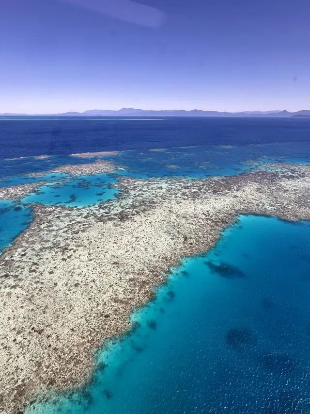 8-Day Australia New Year Trip: The Ultimate Guide