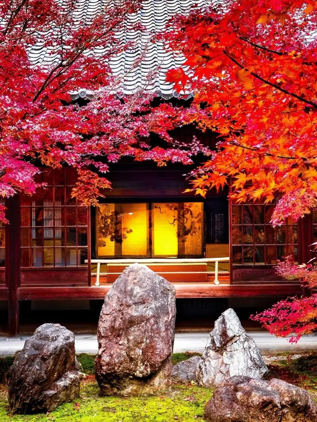 7-Day Japan Tour: A Romantic Winter Wonderland