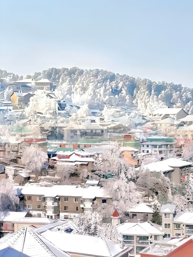 冬季廬山雪景 | 邂逅韓劇同款氛圍感