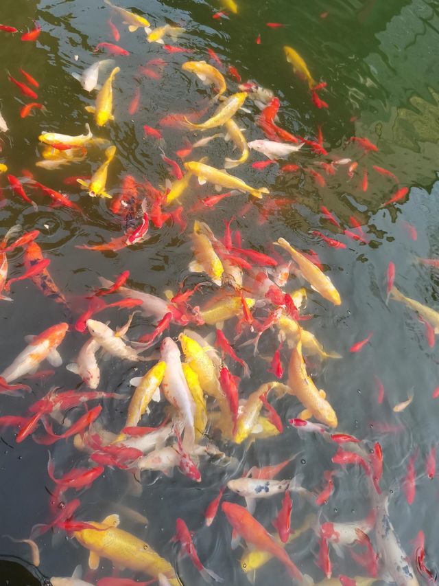別去江南了，來重慶！我唯一想去無數次的公園