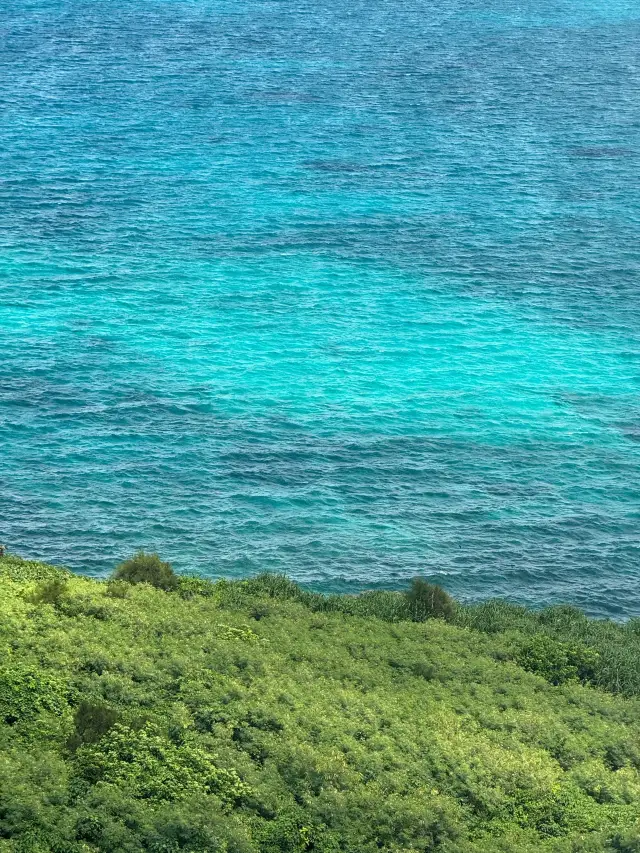 5-Day Japan Itinerary: A Detailed Guide