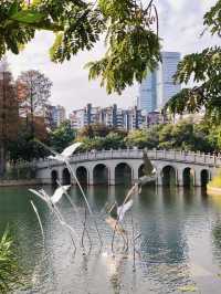 四海公園的浪漫冬日